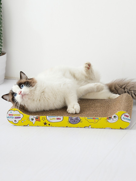 Kassi küünte terituslaud