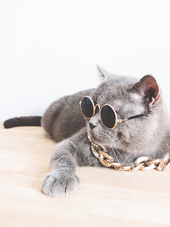 Котешки слънчеви очила