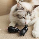 Jucărie pentru pisici - mouse electric vibrator
