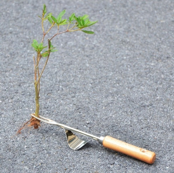 Roostevabast terasest aiatööriist