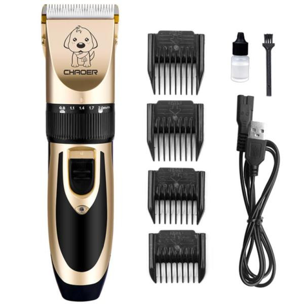 Koertele sobiv juukselõikuse komplekt