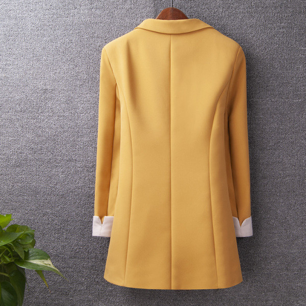 Pika liibuva taskute ja pikkade varrukatega jope