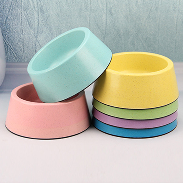 Πιάτο ή μπολ νερού κατάλληλο για γάτες και σκύλους