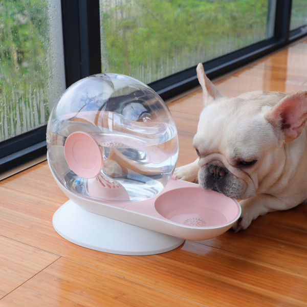 Αυτόματος διανομέας νερού κατάλληλος για σκύλους και γάτες