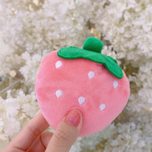 Palus mänguasi koertele