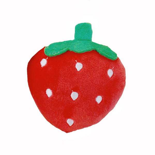 Palus mänguasi koertele