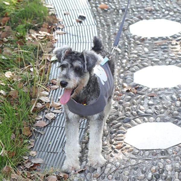 Mellény és póráz kutyáknak