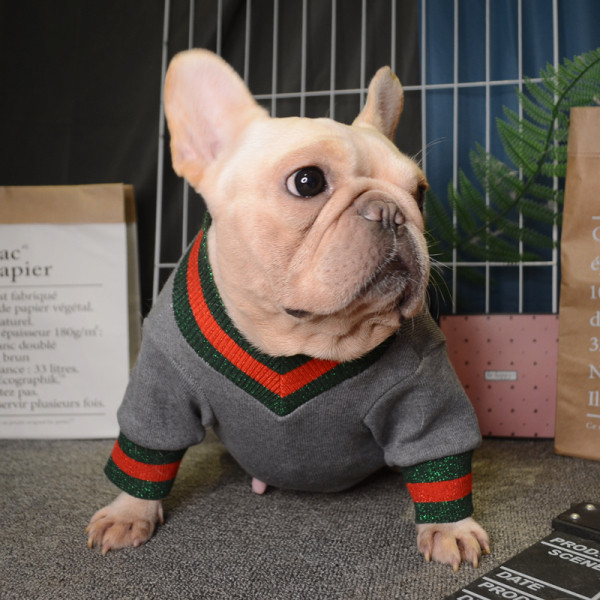 Ujjú, fényes hatású kutyaruhák