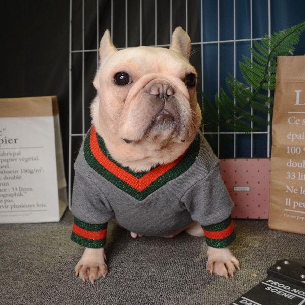 Ujjú, fényes hatású kutyaruhák