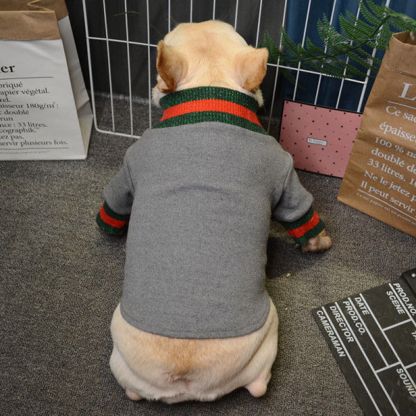 Ujjú, fényes hatású kutyaruhák