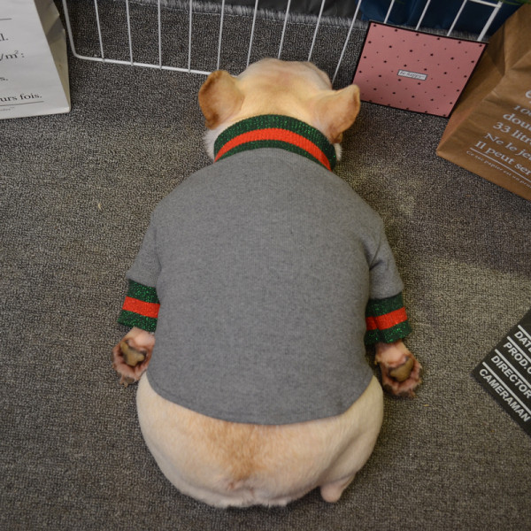 Ujjú, fényes hatású kutyaruhák