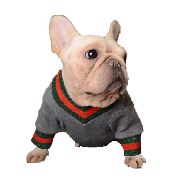 Ujjú, fényes hatású kutyaruhák