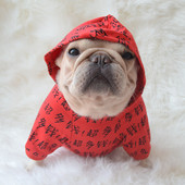 Tekstiliniai drabužiai šunims su gobtuvu ir rankovėmis