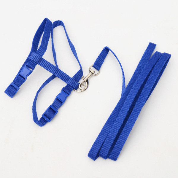 Tekstiilist jalutusrihm kassile