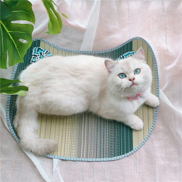 Šiaudų pagalvėlė katėms