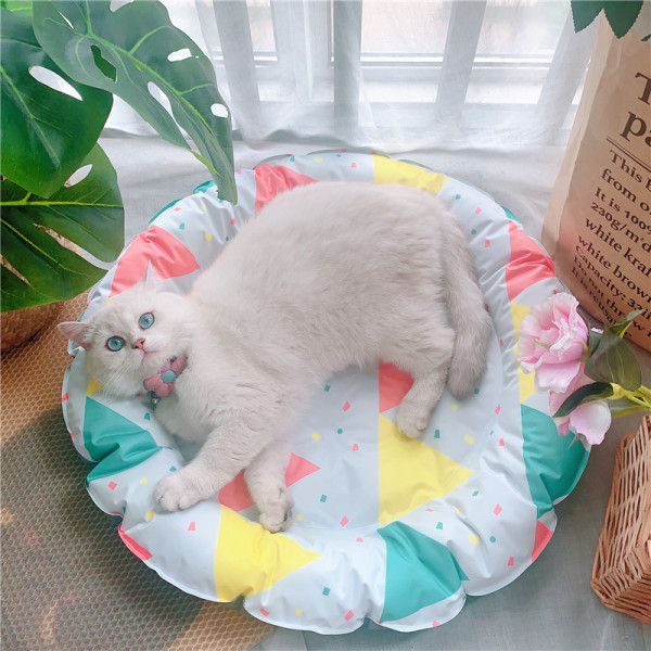 Spalvotas įklotas tinka augintiniui