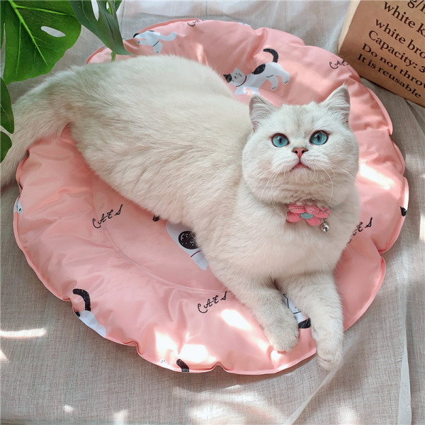 Spalvotas įklotas tinka augintiniui