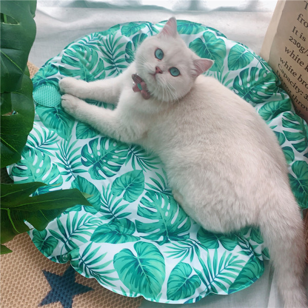 Spalvotas įklotas tinka augintiniui