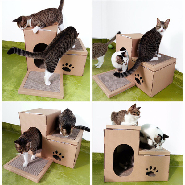 Namai tinkami namams katėms