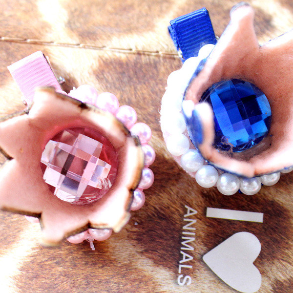 Hajtű koronával kutyáknak