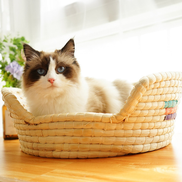 Patogi lova su minkštu pamušalu, tinka katėms