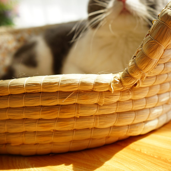 Patogi lova su minkštu pamušalu, tinka katėms