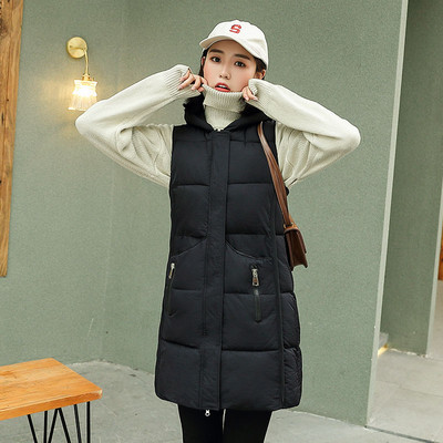 Gara rudens-ziemas veste ar kapuci