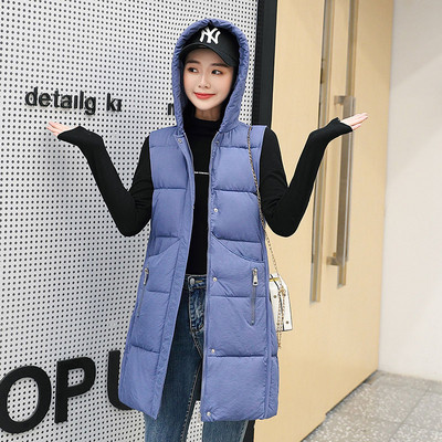 Gara rudens-ziemas veste ar kapuci