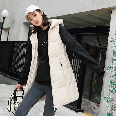 Gara rudens-ziemas veste ar kapuci