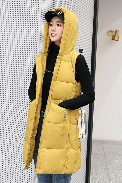 Gara rudens-ziemas veste ar kapuci