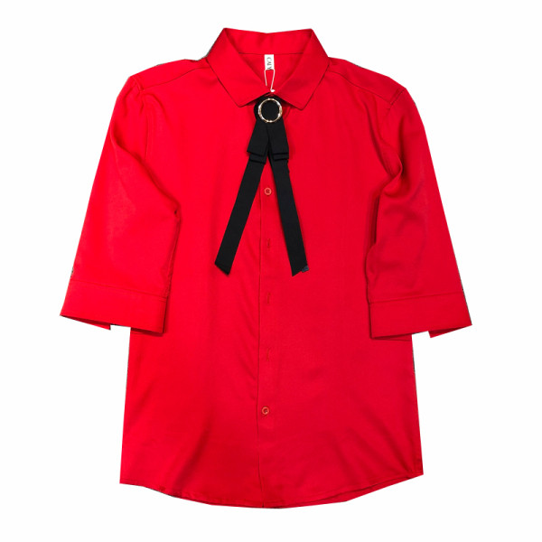 Moodne liibuva lipsuga särk