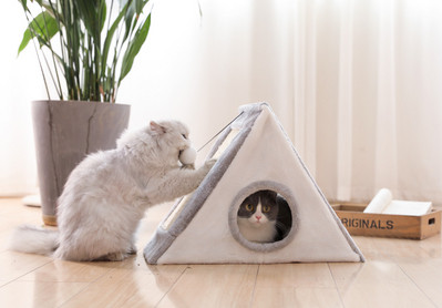 Къща за котки с дъска за драскане 