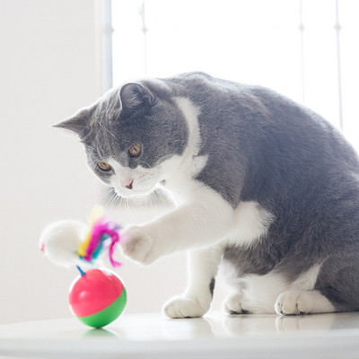Пластмасова топка за игра-за котки