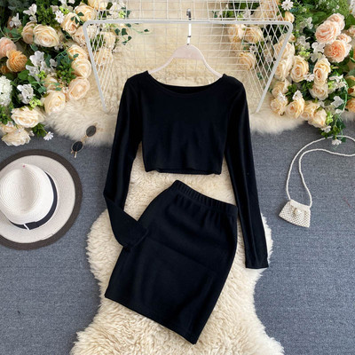 Μοντέρνα γυναικεία σετ φούστα και κοντή μπλούζα με μακριά μανίκια - δύο μοντέλα