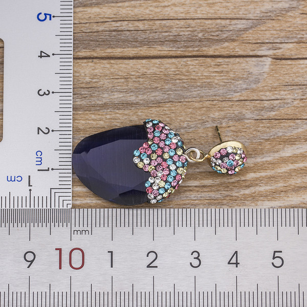 Modernūs auskarai su akmenukais