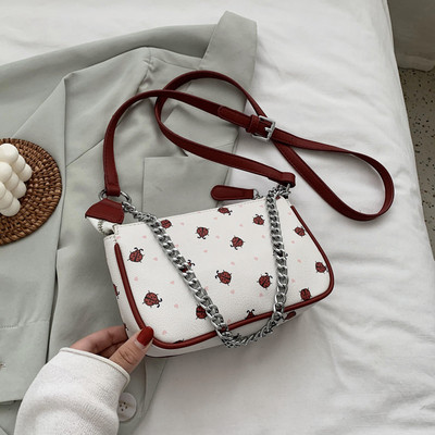 Laisvalaikio moteriška rankinė su metaline grandinėle iš eko odos