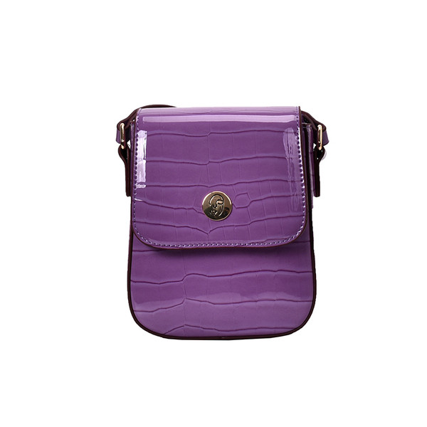 Igapäevane naiste lakknahast kott tavaline mudel