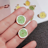 Igapäevased naiste kõrvarõngad