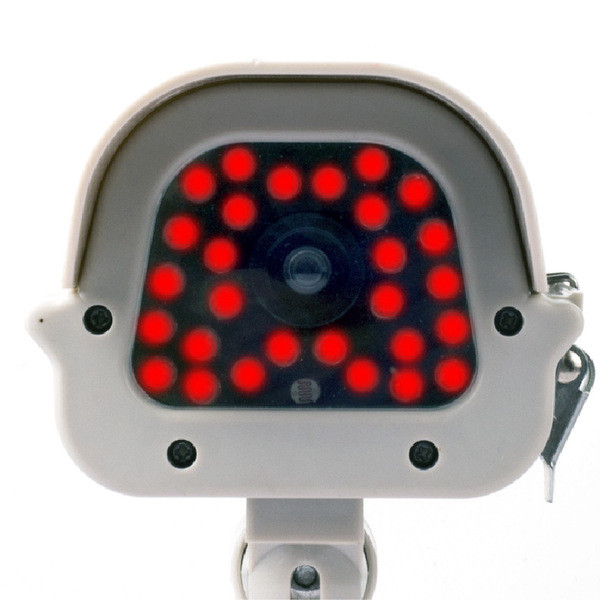 Manekeno stebėjimo kamera su stovu tinkama kiemui ar sodui