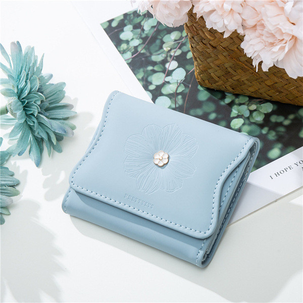 Naiste väike rahakott metallist kinnitusega - ökonahk