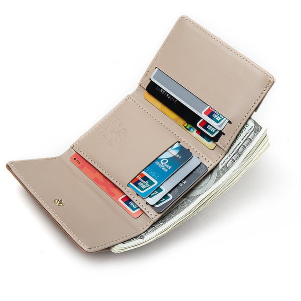 Naiste väike metallist kinnitusega rahakott