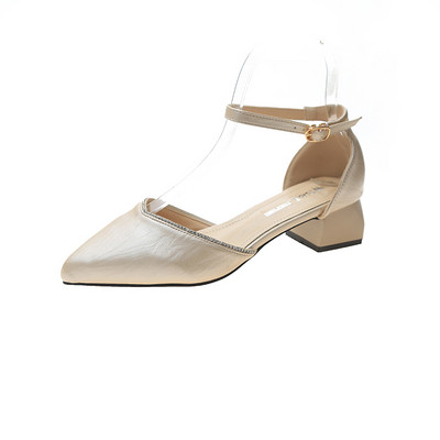 Κομψά γυναικεία παπούτσια με χοντρά τακούνια και αγκράφες