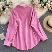 Mitmes värvitoonis klassikalise kraega naiste vabaajasärk