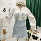 Stiilne naiste komplekt, mis sisaldab pikkade varrukatega särki ja seelikut