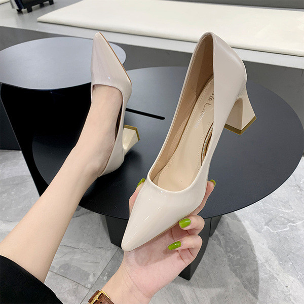 Μοντέρνα γυναικεία παπούτσια μυτερά με χοντρό τακούνι