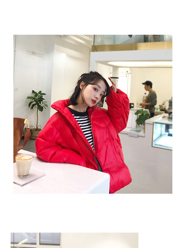 Naiste jaki lai kõrge kraega mudel