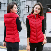 Igapäevane kapuutsiga naistevest