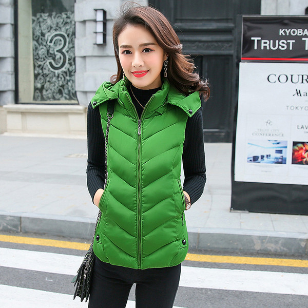 Igapäevane kapuutsiga naistevest