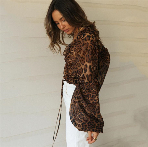 Naiste spitsikaelusega šifoonist särk ja pikkade laiade varrukatega