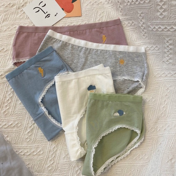 Σετ από πέντε κομμάτια βαμβακερά εσώρουχα με κέντημα